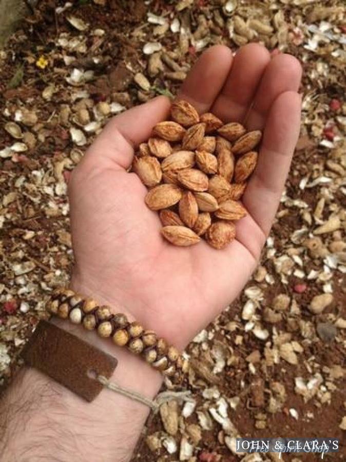 Handmade Natural Jasper Braided Bracelet