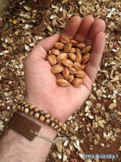 Handmade Natural Jasper Braided Bracelet